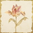 thumbnail image 3 of Gango Home Decor Contemporary Vintage Flaming Parrot Tulip & Vintage Zoomer Schoon Tulip by Cheri Blum (Ready to Hang); Two 16x16in Hand-Stretched Canvases, 3 of 5