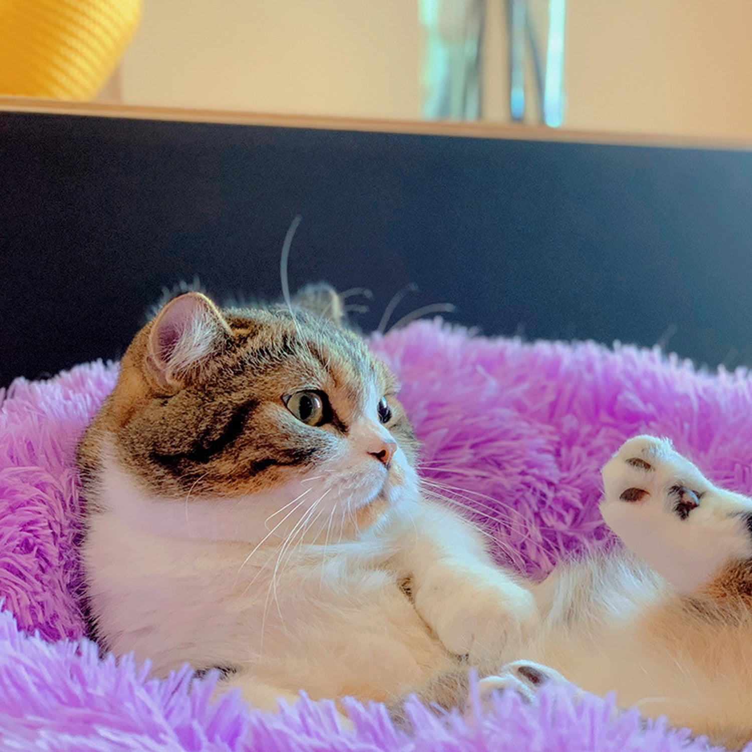 Calming Dog & Cat Bed, Anti-Anxiety Warming Cozy Soft Round Bed, Fluffy Faux Fur Plush Cushion bed for Cats Small Medium Dogs Purple XL