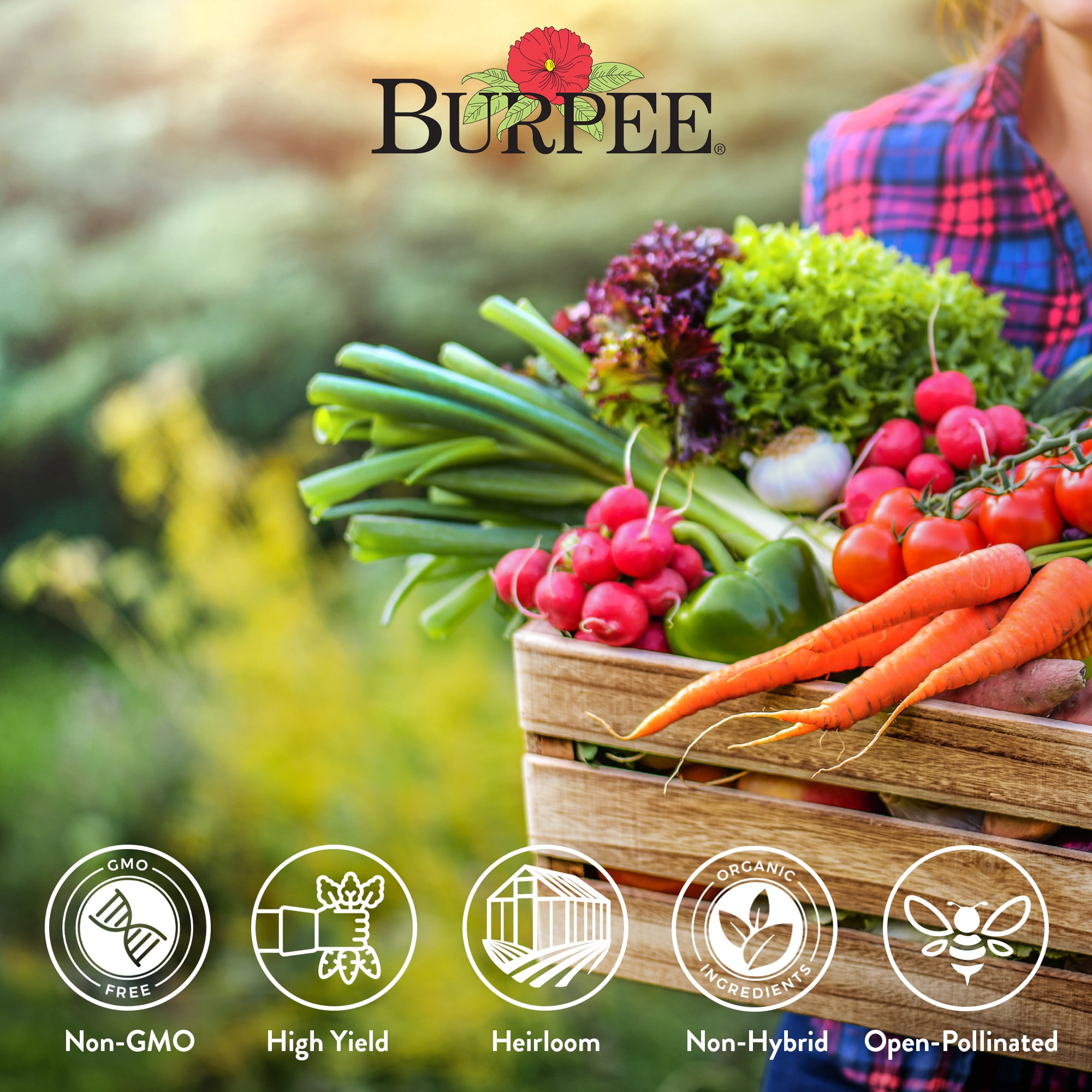 Burpee Heirloom Vegetable Plant Seeds (35 Variety Pack), Non-GMO, Annual Lifecycle, Full Sun