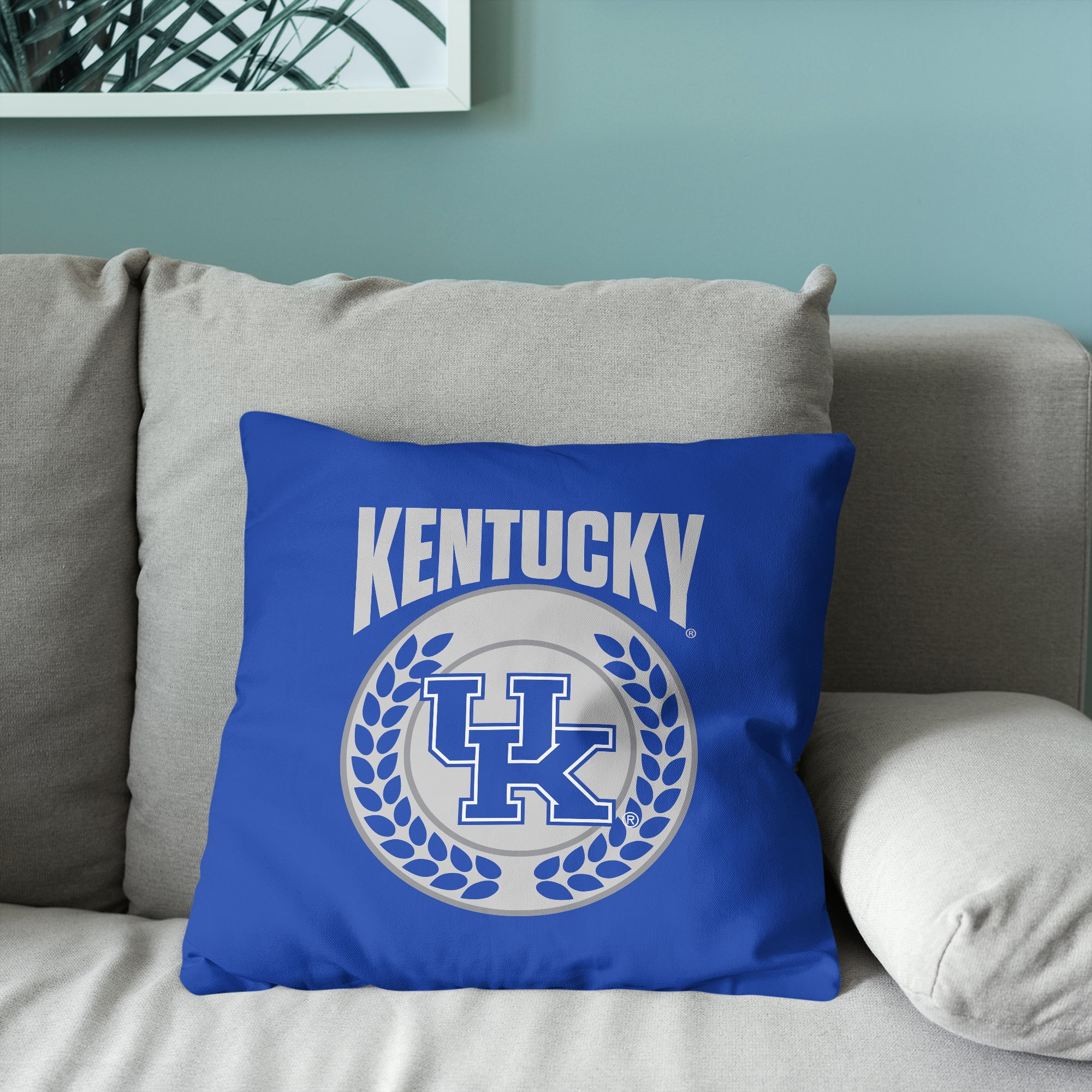Kentucky NCAA Triumph Square Cloud Pillow 24 inches