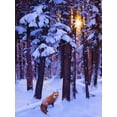 thumbnail image 2 of Chapman, Julie T. 19x24 White Modern Wood Framed Museum Art Print Titled - Cold Fire, 2 of 4