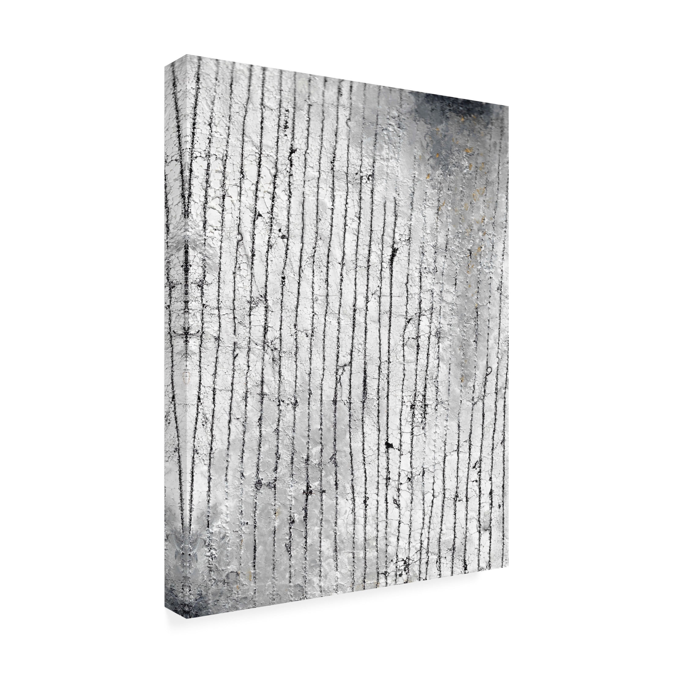 Canvas Wall Art - Maliq 'Stone 1' Wall Art for Living Room, Bedroom, or Office Décor by Trademark Fine Art - 18 x 24 Inches