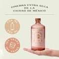 thumbnail image 2 of Pack de 12 Ginebra Condesa Xoconostle y Azahar 750 ml, 2 of 3