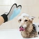 thumbnail image 4 of Pisexur Suministros para mascotas Suministros de limpieza para mascotas Guantes para quitar el pelo Guantes de caricias Guantes de baño y masaje Guantes para mascotas Guaperros, gatos y animales, 4 of 6