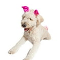 thumbnail image 3 of Midlee Dog Pig Halloween Headband Costume with Tail- Large, 3 of 4