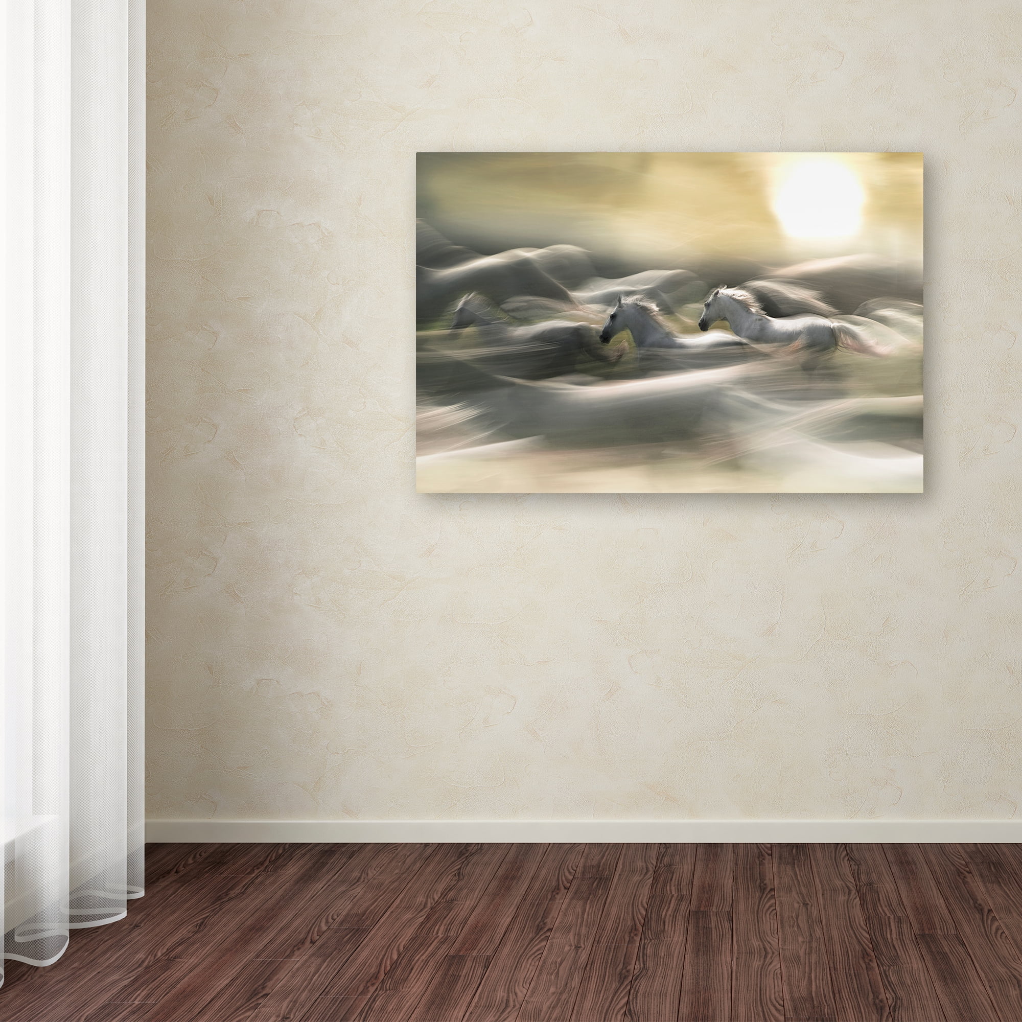 Trademark Fine Art 'Morning Dream' Canvas Art by Milan Malovrh