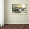 thumbnail image 3 of Trademark Fine Art 'Morning Dream' Canvas Art by Milan Malovrh, 3 of 3