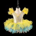 thumbnail image 2 of Zwiiyzr 2025 1-14Y Girls Ballerina Clothes Dance Tutu Ruffle Sleeve Floral Print Gymnastics Leotard Ballet Tutu Yellow, 2 of 4