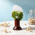thumbnail image 1 of Adorno Decorativo con Base de Madera y Piedras Naturales – Paisaje de Bosque con Flores Secas para Decoración de Escritorio, Estante Del Hogar, Regalo Navideño, 1 of 6