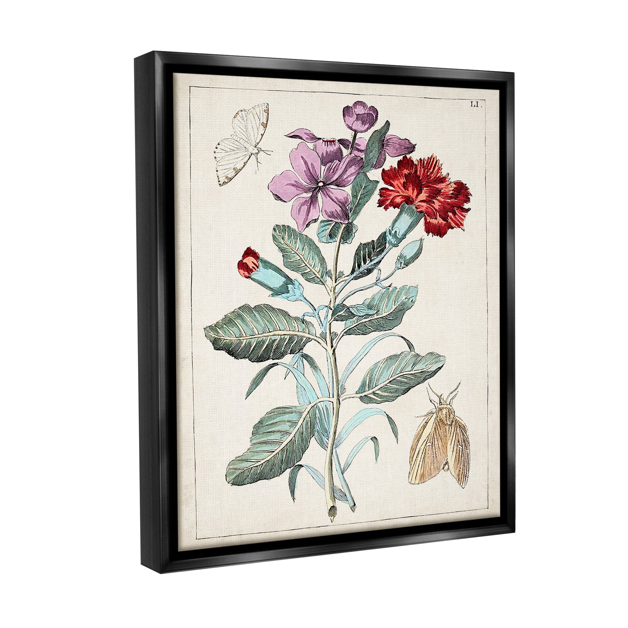 Stupell Industries Vintage Moths with Flowers Botanical & Floral Painting Black Floater Framed Canvas Art Print Wall Art, 25 x 31