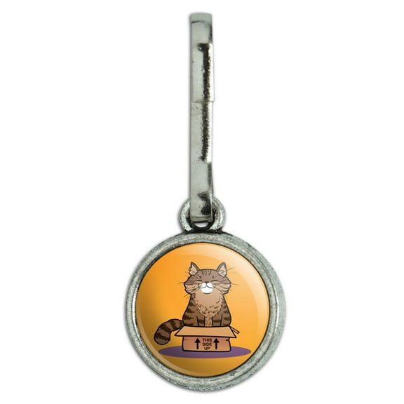 Cat Sitting in Box Antiqued Charm Clothes Purse Suitcase Backpack Zipper Pull Aid