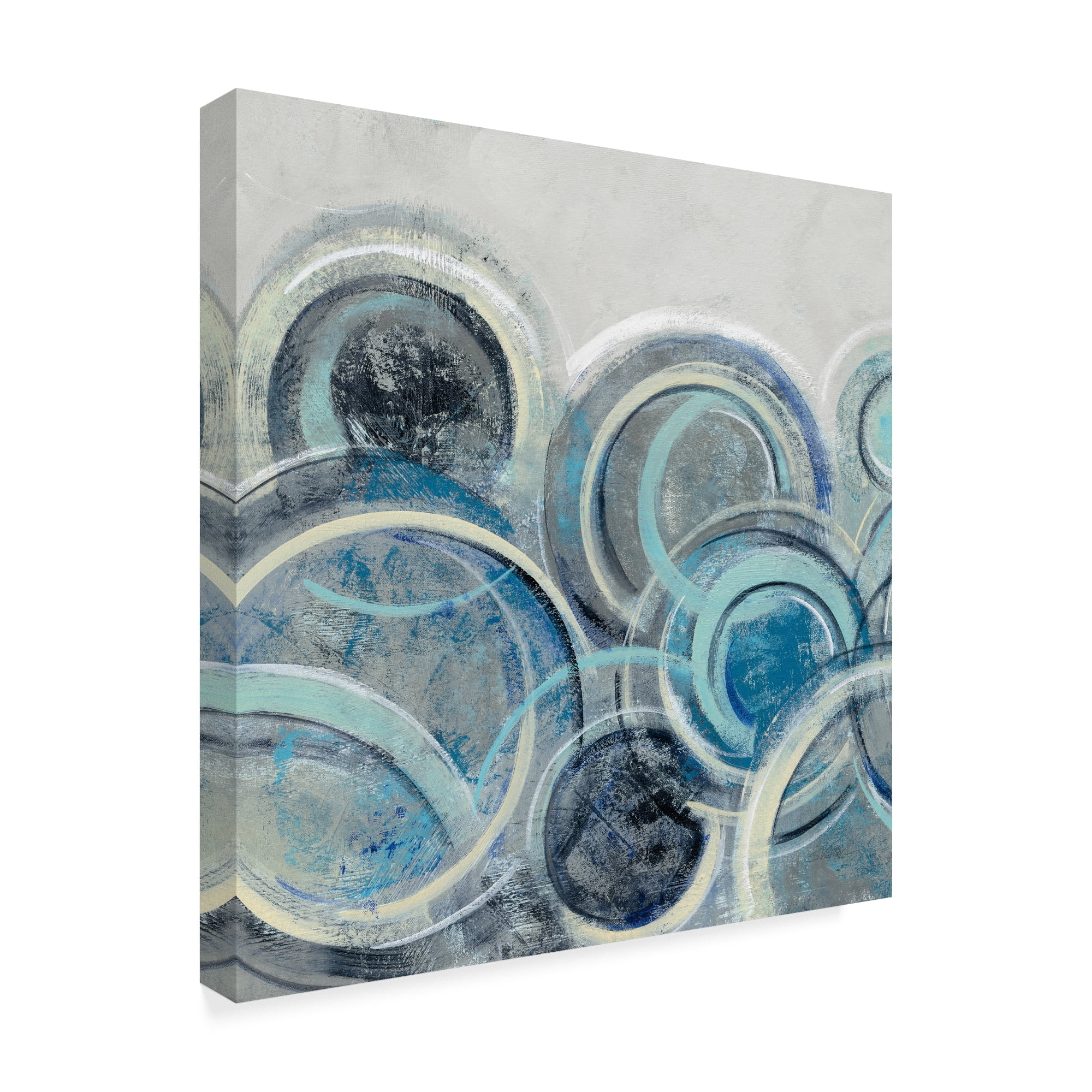 Trademark Fine Art 'Variation Blue Grey II' Canvas Art by Silvia Vassileva