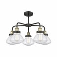 thumbnail image 2 of Innovations Lighting  Olean - 5 Light 25" Stem Hung Chandelier Black Antique Brass/Seedy, 2 of 2