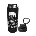 thumbnail image 2 of Juro solemnemente que no estoy tramando nada bueno. Botella de agua aislada de acero inoxidable de 18 oz, novedosa tetera deportiva, taza portátil para viajes, gimnasios al aire libre., 2 of 5