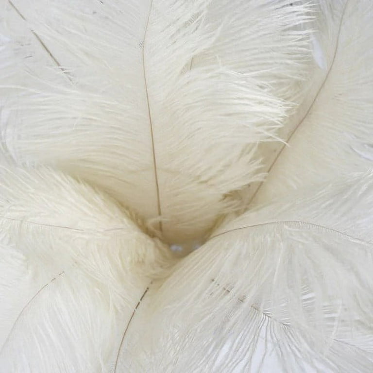 BalsaCircle 12 Pieces 13-15 Beige Authentic Ostrich Feathers Centerpieces