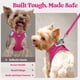 thumbnail image 4 of Juego de arneses para perros Rabbitgoo Step-In Small con correa, color rojo rosado, 4 of 8