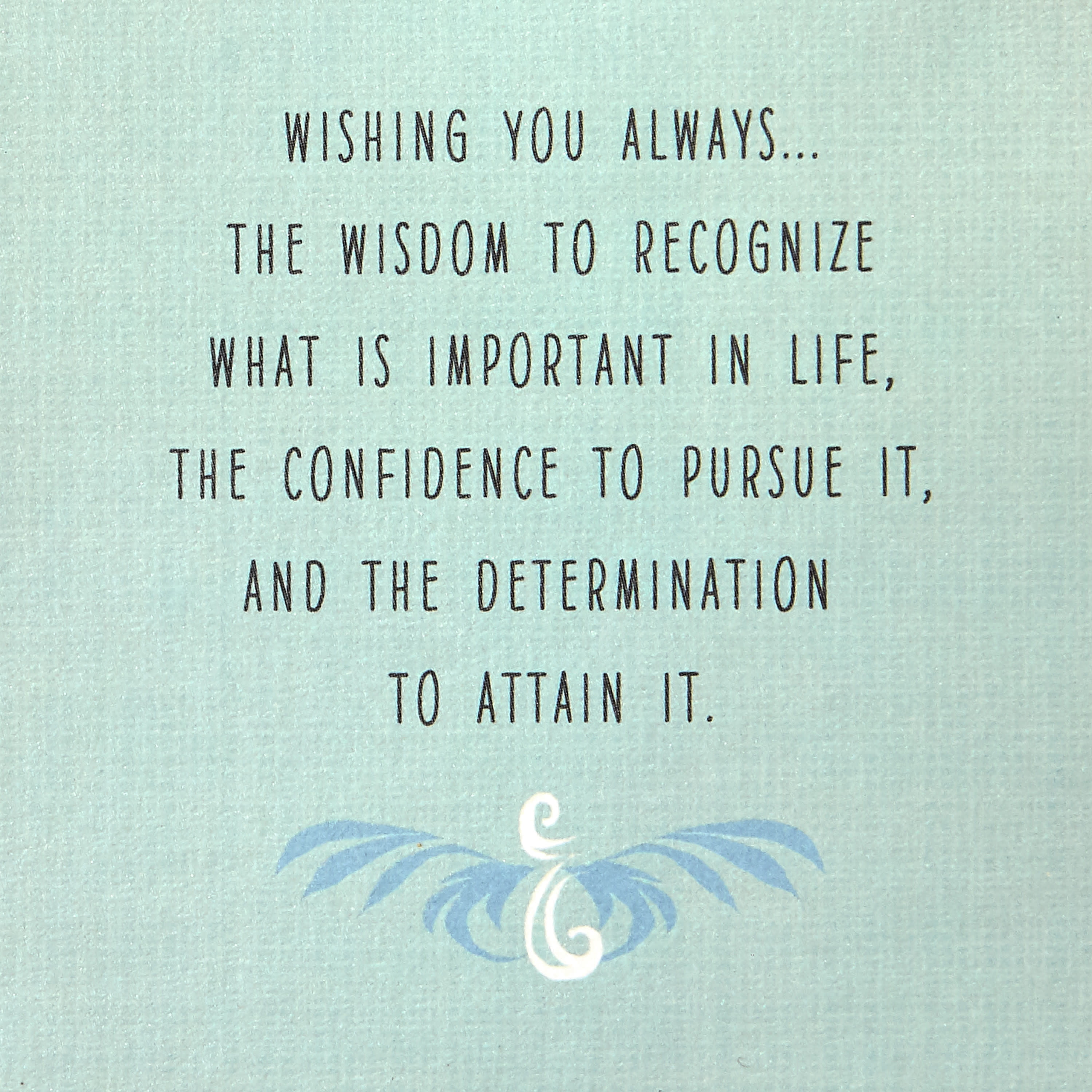 Hallmark Money Holder Graduation Greeting Card (Wisdom, Confidence and Determination)