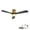 Gold#3, variant on Tower Fan 52 Inch Matte White Smart Ceiling Fan with Light 3 ABS Blades DC Motor and Reversible Function,Box Fan