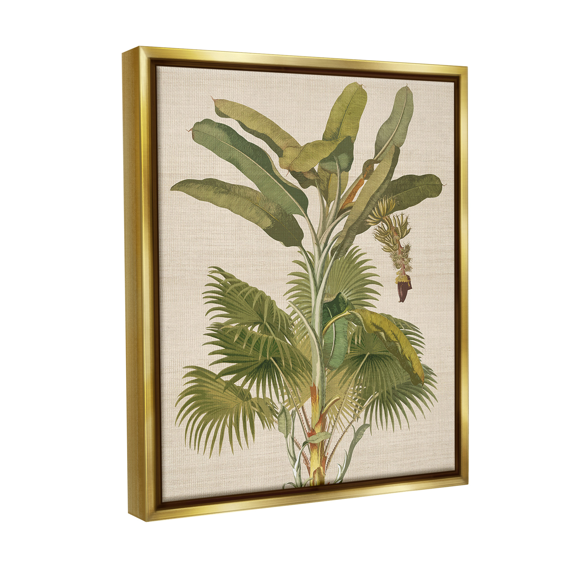 Stupell Industries Vintage Tropical Plant Botanical & Floral Painting Gold Floater Framed Canvas Art Print Wall Art, 17 x 21