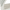 White, variant on Simplify Kid's Non Slip Plastic Collar Saver Child Clothing Hangers, 12 Pack, Light Gray