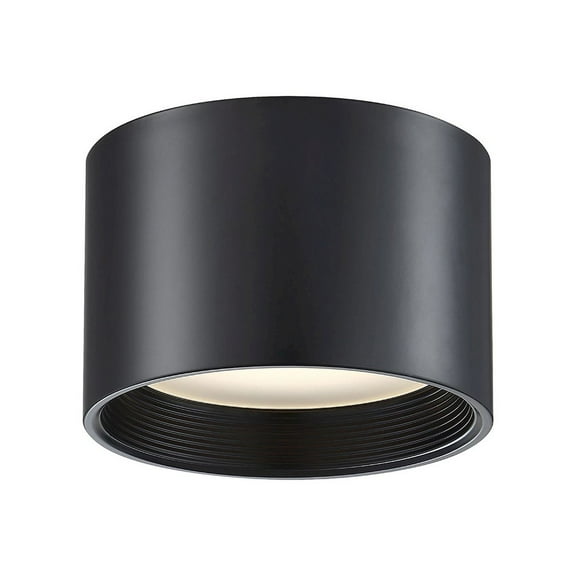 Access Lighting Dual Voltage LED Flush Mount in Black Color