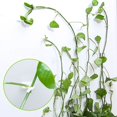 thumbnail image 1 of 100 pinzas autoadhesivas para plantas NQ 3,5 x 2,5 x 1,4 cm, 1 of 5