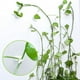 thumbnail image 1 of 100 clips autoadhesivos para plantas de 3,5 x 2,5 x 1,4 cm, clip de alambre para plantas para organización de cables de plantas, 1 of 5