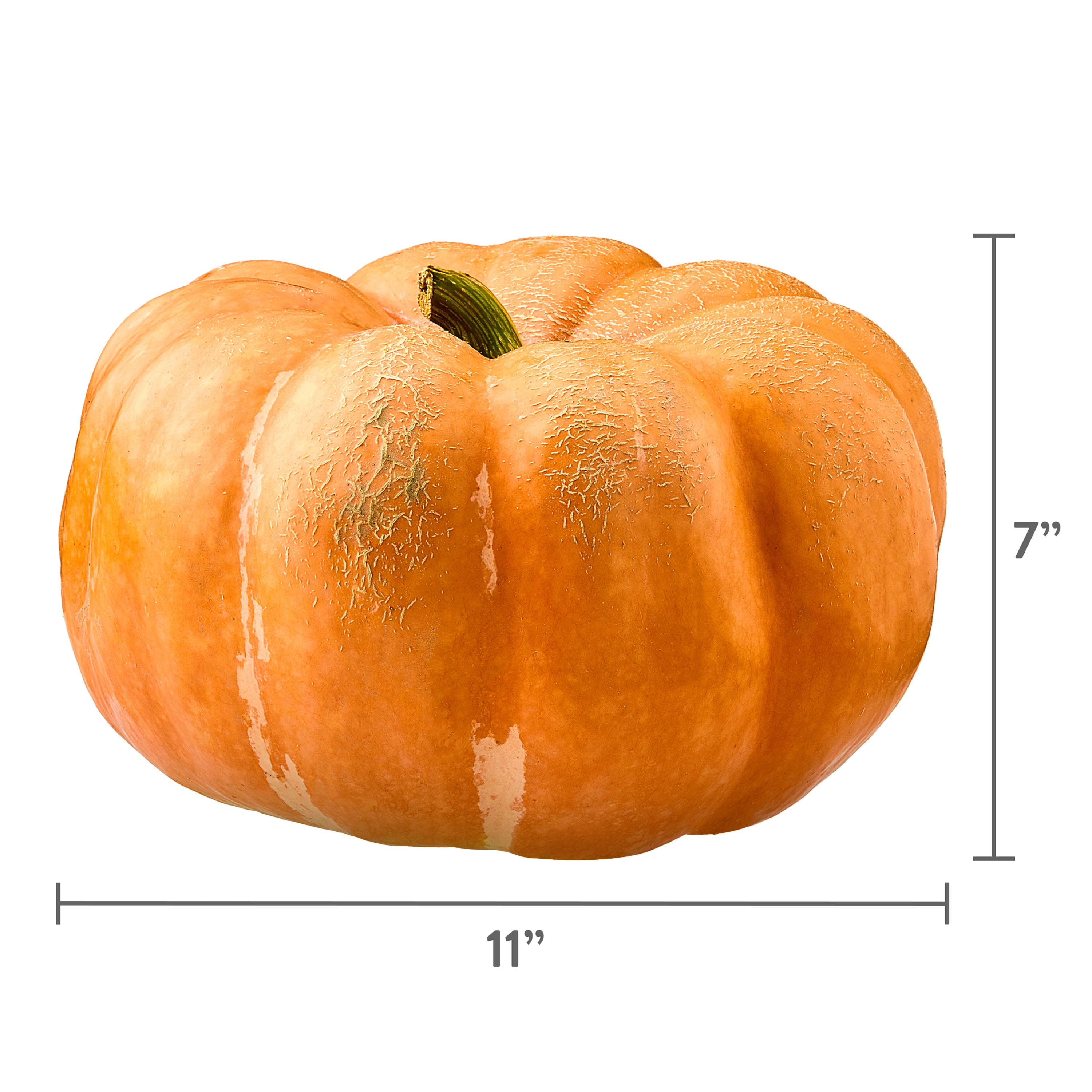 Fresh Large Heirloom Pumpkin, Each (Color and Variety May Vary)