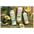 Suave Professionals Avocado + Olive Oil Shampoo, 12.6 oz