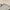 Manila, variant on Pacon Heavyweight Tagboard, 12 x 18 Inches, 11 Pt, White, Pack of 100
