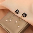 thumbnail image 2 of Pendientes brillantes con borlas creativas a la moda, colgante de perlas con Zirconia cúbica brillante, regalo maravilloso Wmkox8yi  sjalhkljlk529, 2 of 6