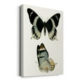 thumbnail image 2 of Antique Blue Butterflies I Premium Gallery Wrapped Canvas - Ready to Hang, 2 of 9