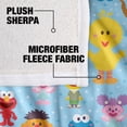 thumbnail image 4 of Sesame Street, 50"x60", Cute Character Pattern Silky Touch Sherpa Back Super Soft Throw Blanket, 4 of 5
