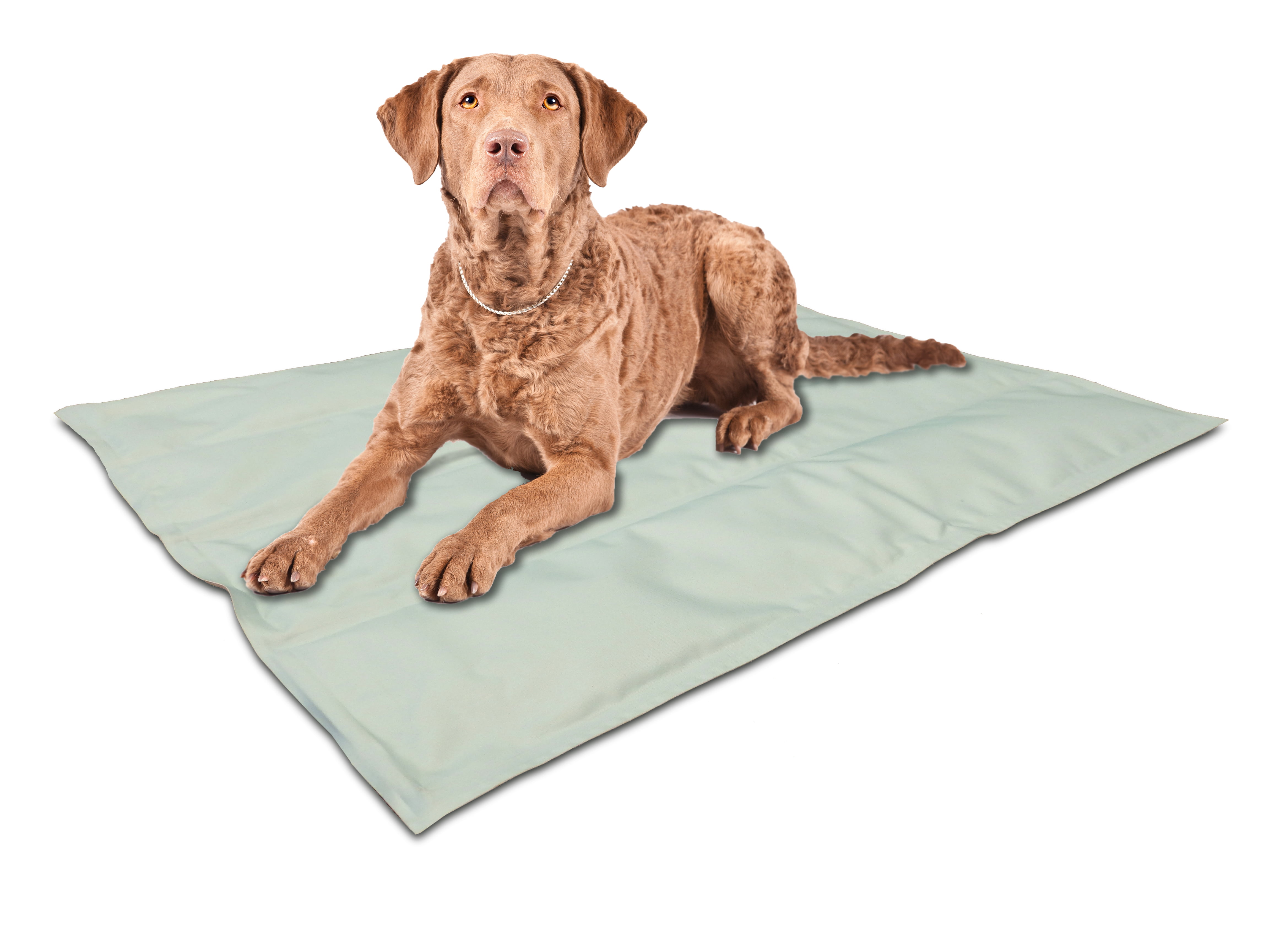 ASPCA Reversible Pet Cooling Mat, Large, Gray