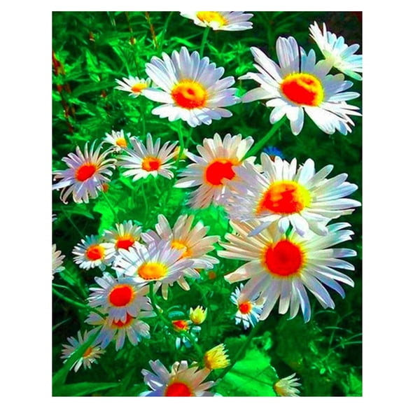 Daisy Diamond Art Kit - Resin Rhinestone Craft for Living Room, Bedroom & Study Decor, 15.75x11.81in Canvas with Complete Tools (Pen, Glue, Drill Plate) - Easy & Quick to Finish Beautiful Landscape