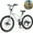 Silver, variant on POVANLI 26 Inch BMX Bike with Disc Brakes, Single Speed, 15 Inch Frame