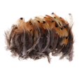 thumbnail image 2 of 100 piezas de s de faisán naturales, manualidades de bricolaje, decoraciones de Navidad y Halloween Baoblaze Plumas de faisán natural, 2 of 8