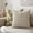 Green, variant on Lanbertent Decorative Throw Pillow, 2-Pack 18"x18" Chenille Couch Pillows, Soft Modern Neutral Cushion for Sofa Living Room Bedroom, Brown (2-Pack Inserts Included)