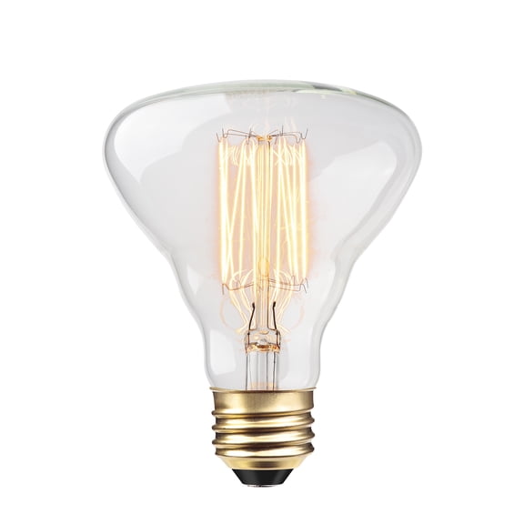 Globe Electric 40W Clear Designer Vintage Edison Labo Incandescent Light Bulb, 84654