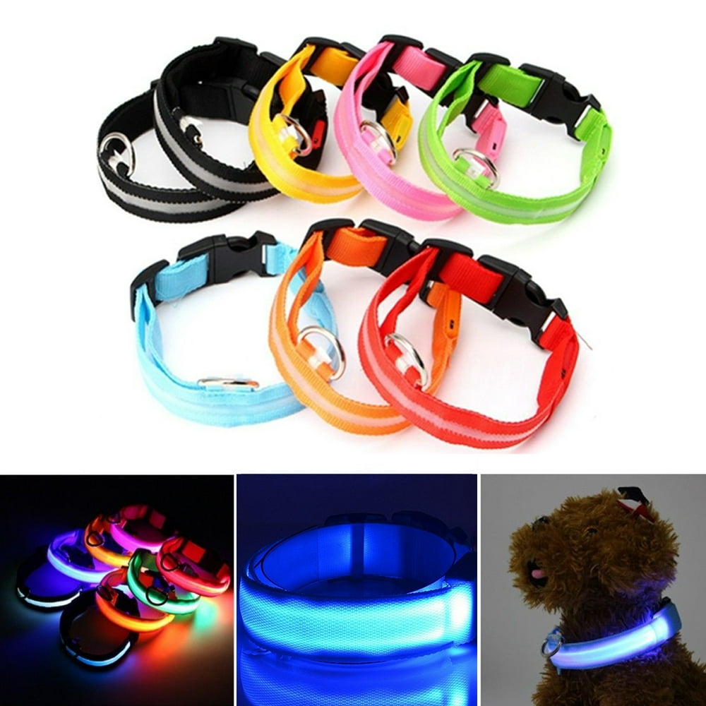 Spencer LED Dog Collar, USB Rechargeable Safety Light Up Glowing Pet