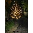 thumbnail image 2 of Lightshare 6 Feet Cherry Blossom Tree, 208 LED lights, Warm White, 2 of 5