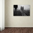 thumbnail image 3 of Trademark Fine Art 'November Passengers' Canvas Art by Nicoleta Gabor, 3 of 3