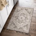 thumbnail image 4 of BERTHMEER 2'x3' Small Area Rugs Washable Throw Rugs for Entryway Door indoor doormats Non-slip, Brown Multi, 4 of 5