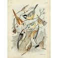 thumbnail image 2 of Lubbert, G. 15x18 White Modern Wood Framed Museum Art Print Titled - Custom Gathering of Birds II (ASH), 2 of 4