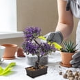 thumbnail image 6 of OULII Set of 2 Small Artificial Bonsai Trees in Pots, Realistic Faux Potted Plants for Home, Office, Tabletop Decoration, 6 of 6