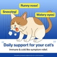 thumbnail image 2 of Doctor By FELYSIN L-lysine for Cats Lysine Supplements Immune Support Allergy Relief Sneezing Runny Nose Watery Eyes Respiratory Treatment with Beta-glucan, 30 Lickable Formula Individually Packaged, 2 of 6