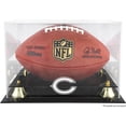thumbnail image 2 of Carolina Panthers Team Logo Football Display Case, 2 of 7