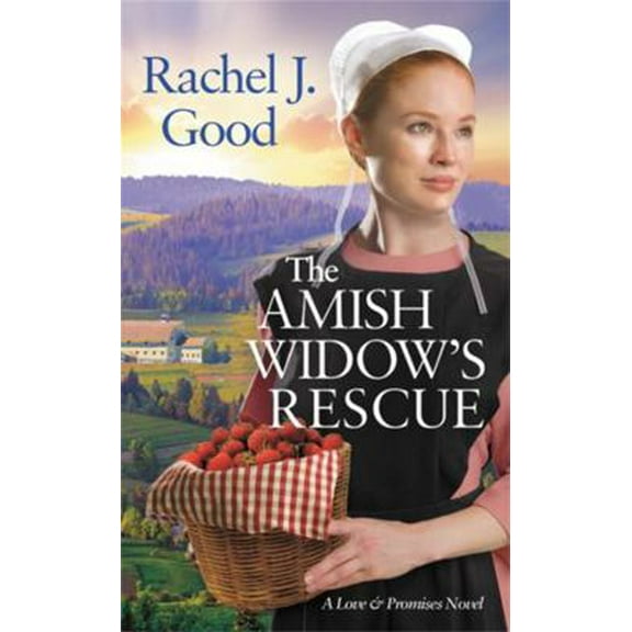 Pre-Owned The Amish Widow's Rescue (Mass Market Paperback) 1538711303 9781538711309
