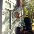 thumbnail image 2 of Carolines Treasures ASA2008CHF Tawny Owl Flag Canvas House Size  Large multicolor, 2 of 4