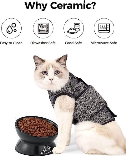 Elevated Cat Food Bowl, 5 Oz Ceramic Raised and Tilted Water Bowl, Anti Vomiting and Protect Pets' Spines Dishes for Small Dog, Fat Faced Cat, Kitten (Black Pattern, 1 Pack)